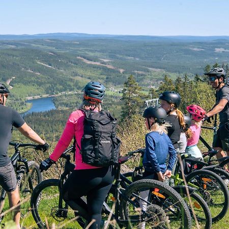 Lyxig Stuga Pa Branaesberget Sysslebäck Exterior foto